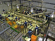 Завершается проектирование нового рыбоперерабатывающего завода в Подольске