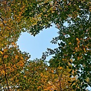 Осенний Подольск